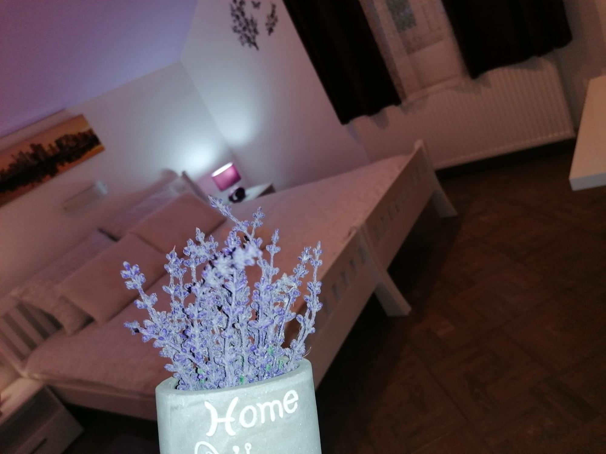 Guest House Macic Korenica Cameră foto